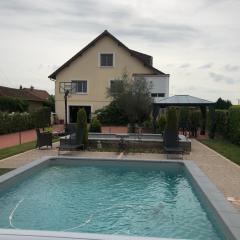 Les Pichies, Villa Antonio, piscine & spa