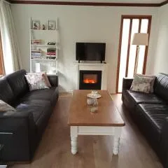 Roodborstje 4 persoonschalet Putten