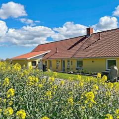 4 person holiday home in Østervrå-By Traum