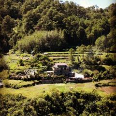 The Shire of Sagada