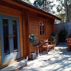 tranquil log cabin