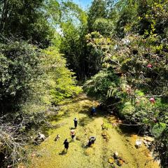 Cabaña El Arenal San Rafael Antioquía