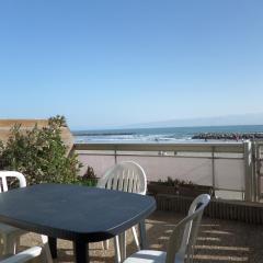 Grand studio cabine accès plage parking privé - FR-1-715-16