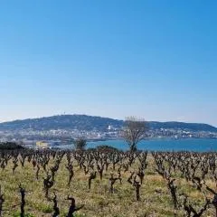 Maison de campagne vue Étang de Thau !