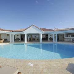 Spacious villa with sea view in Saint Martin + private pool.