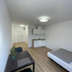 Renewed one bedroom apartment on a good location