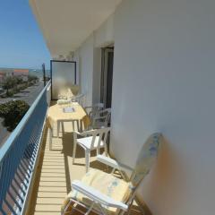 Appartement 2 chambres, 6 pers., à 300m de la plage - Notre-Dame-de-Monts - FR-1-540-129