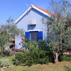 Holiday home Mola