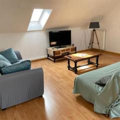 Appartement spacieux et lumineux - Centre - Bord Loire - Climatisation - Wifi - Tout Confort