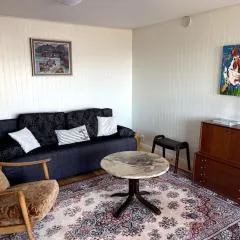 Cosy 1-bedroom apartment on Hamnøya.