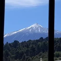 La Casa de Mami II