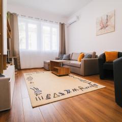 Apartment in the city center