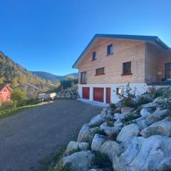 Chalet neuf pour 9 pers. à Ventron, 9 km La Bresse