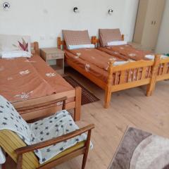 Apartmani Stevanovic