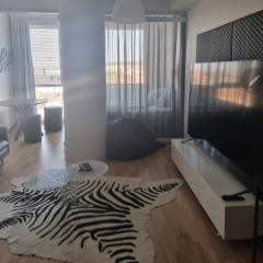 Tampere City studio Areena