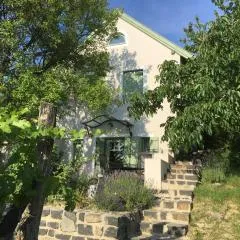 Gyöngy-ház
