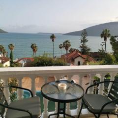 Petrovic house