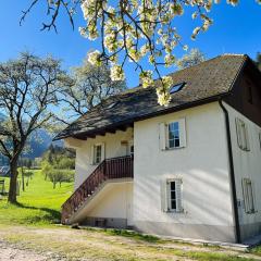 Apartments Mala Korita Soče