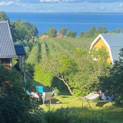 Cottage with sea view, Kattviksvägen