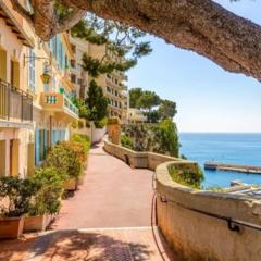 150 m plage, piscine, clim, parking privé, entre Monaco & Menton, calme & Luxe assuré !