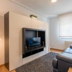 Vt en la Ribera de Bilbao