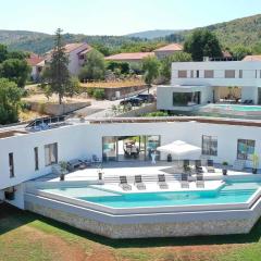 Modern and luxurious villa with swimming pool in Zmijavci