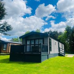 Silver Wood Lodge with Hot Tub