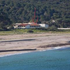 La belle vie F4 bord de plage avec jardin