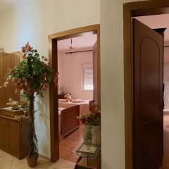 Charming Berat flat getaway