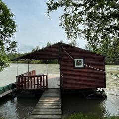 Small Cabin on river Jabukov cvet
