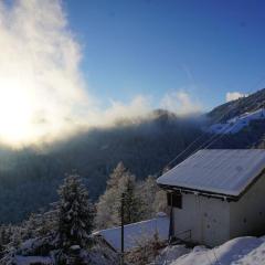 HERZLI-CHALET über dem Rheintal mit Schlossblick