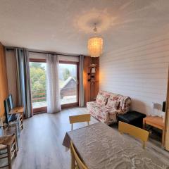 Studio 4 pers, terrasse sud-ouest, centre station, animaux admis - Saint-Michel-de-Chaillol - FR-1-393-131