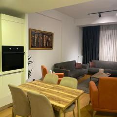 Luxury Fully Furnished Apartment