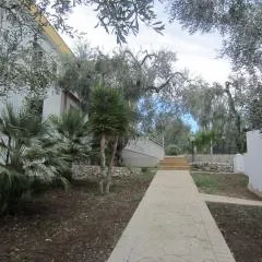 Villa Elisa