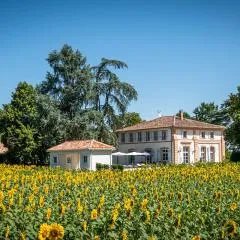 Gite ANDA- piscine- Montauban - Lacourt-Saint-Pierre