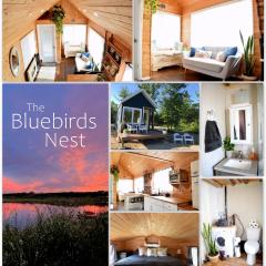 The Bluebirds Nest