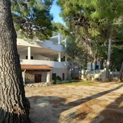 Apartments by the sea Ivan Dolac, Hvar - 21269