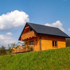 Domki w Bartnicy - Góry Sowie