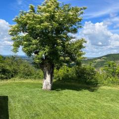 Casale IL SAMBUCO sui colli bolognesi