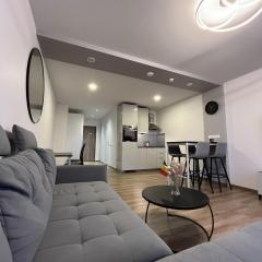 Lovely Flat with Great Central Location Vilnius