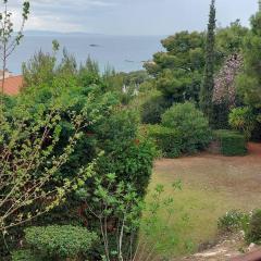 Sea Satin Anavyssos