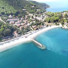 Maggiolino al mare