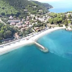 Maggiolino al mare