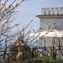 La Torretta Bianca