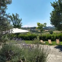 Le Piracante