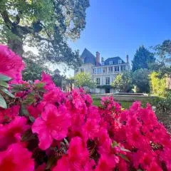 Demeure de Flore - Hôtel Particulier au Cœur de Brive comprenant 8 appartements de charme