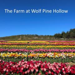 Luxury Farm Stay at The Lodge at Wolf Pine Hollow