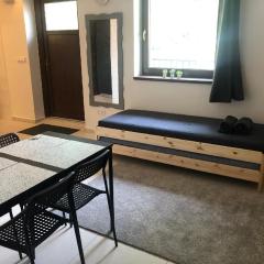 Apartmán Wellness Veselí