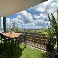 View apartment - St Barts