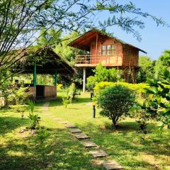 Sungreen Cottage Sigiriya